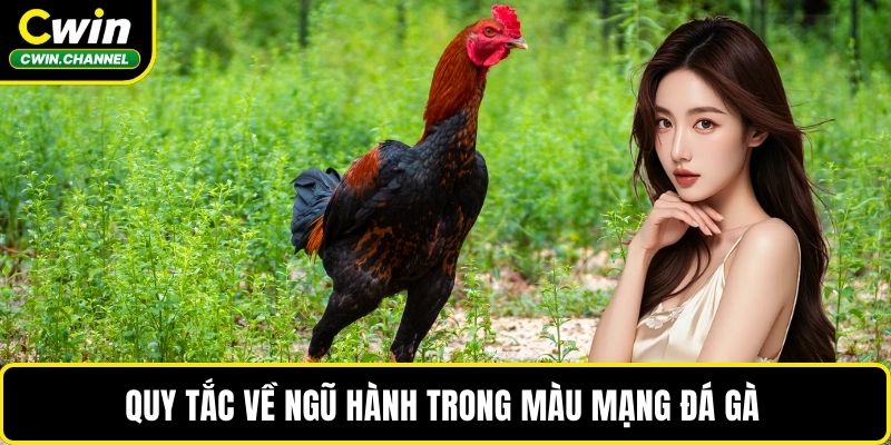 Quy tắc về ngũ hành trong màu mạng đá gà